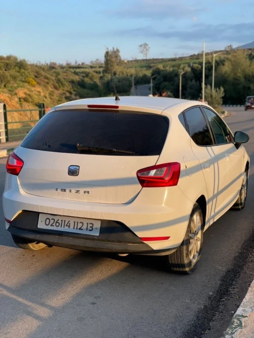 Seat Ibiza 2012 Fully