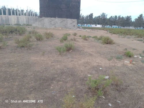 Vente Terrain Blida Soumaa