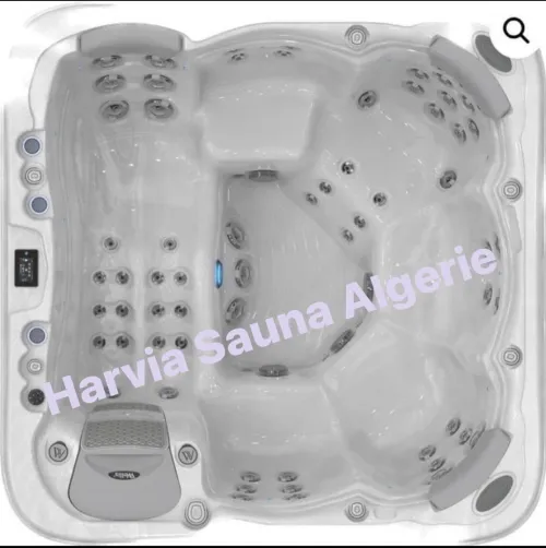 Spa Jacuzzi Wellis