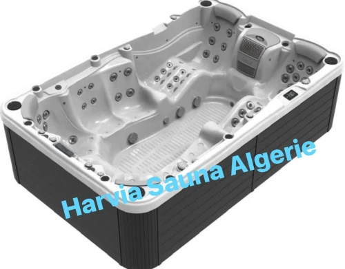 Spa Jacuzzi Wellis