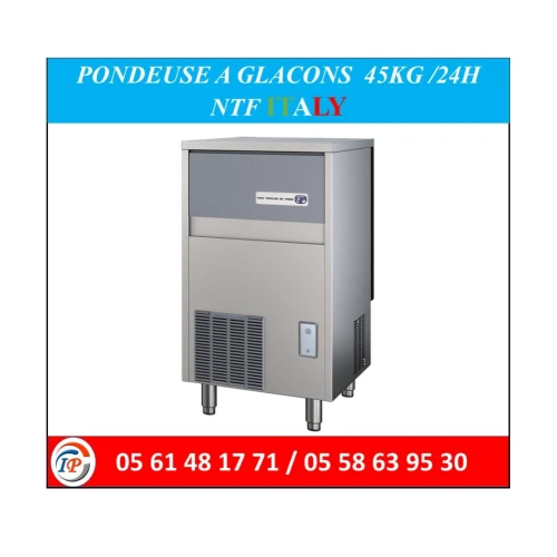 PONDEUSE A GLACONS  45KG /24H NTF ITALY 