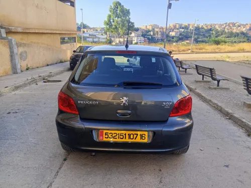 Peugeot 307 2007 Oxygo