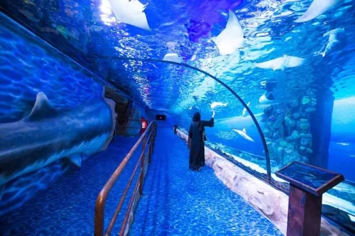 Voyage Organisé à Dubaï Fin D'année 