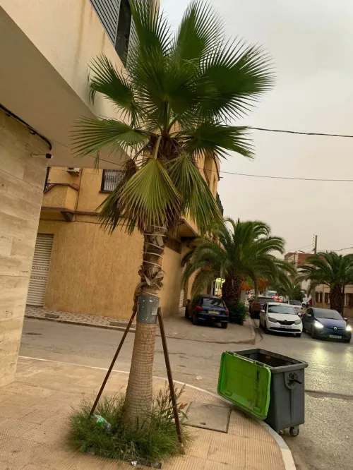 Location Local Oran Oran