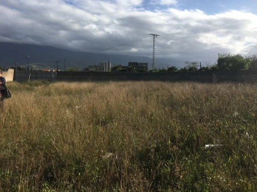 Vente Terrain Alger El biar