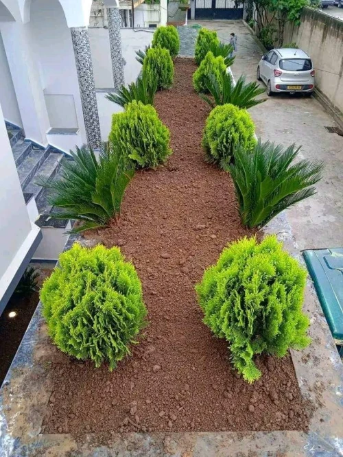 Gazon Espace verts 
