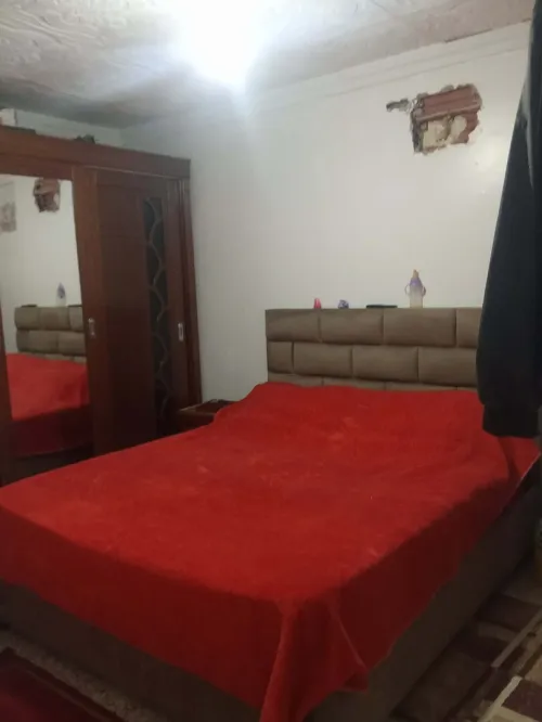Vente Villa Alger Les eucalyptus