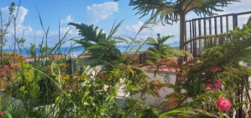 Vente Villa Tipaza Douaouda