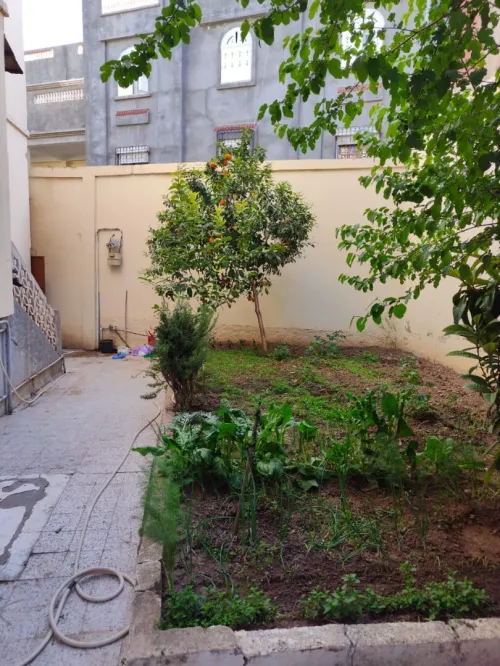 Vente Villa Sétif El eulma