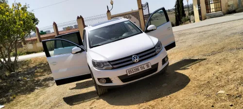 Volkswagen Tiguan 2014 Cup