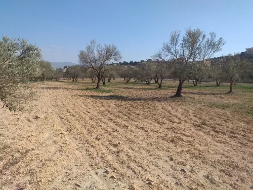 Vente Terrain Bouira Ath mansour taourirt
