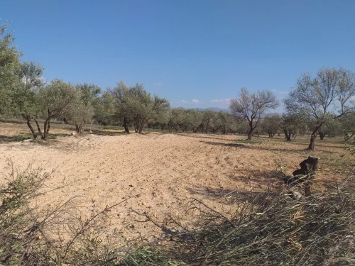 Vente Terrain Bouira Ath mansour taourirt