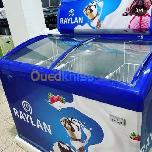 Congélateur commeecial raylan 258 litre 