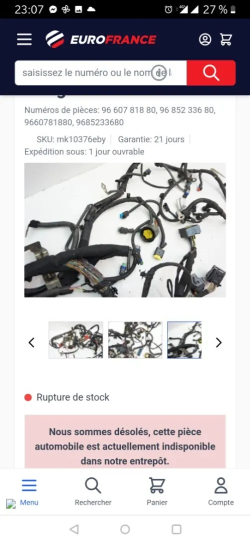 Ficeau de motor 207 cass france ndiff bazef