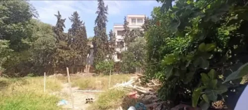 Vente Villa Tlemcen Tlemcen