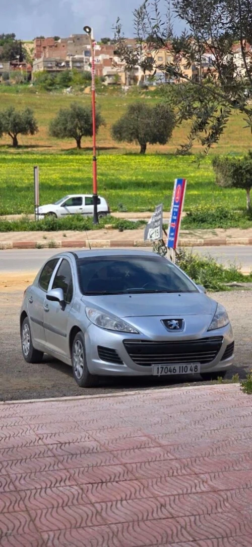 Peugeot 207 2010 207