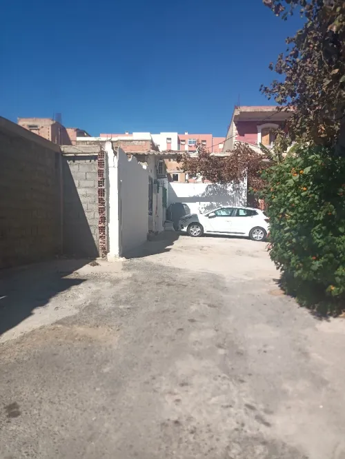 Vente Terrain Tipaza Sidi rached