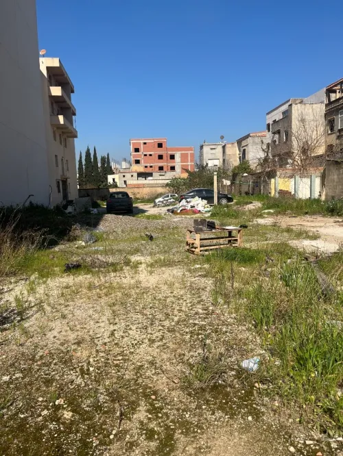 Vente Terrain Alger Cheraga