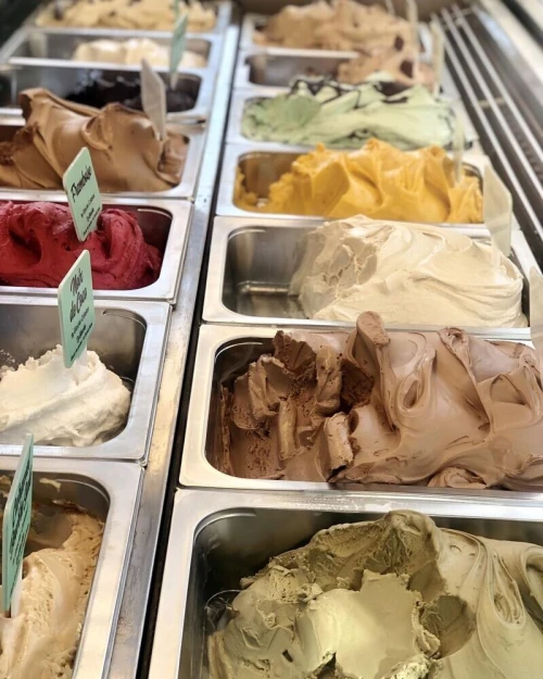 (ZANZOU GLACE GELATO ) MAISON DE FABRICATION ET VENTE EN GROS DE GLACE GELATO ITALIENNE(بيع مثلجات جيلاتو للمحلات)