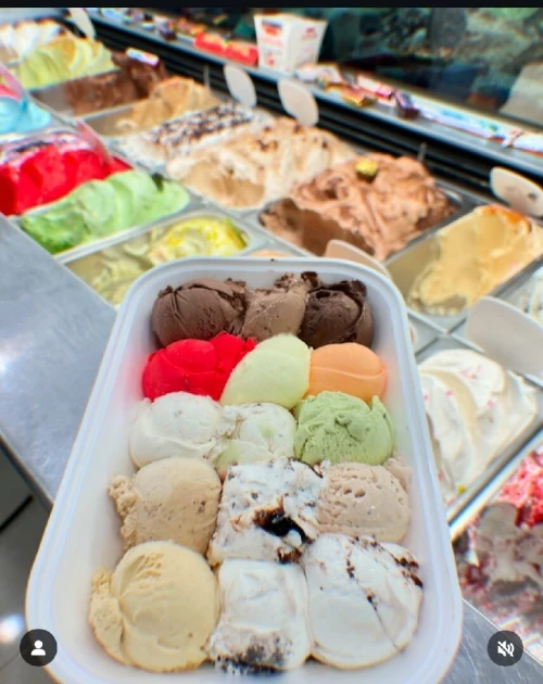 ZANZOU GELATO GLACE  MAISON DE FABRICATION ET VENTE EN GROS DE GLACE GELATO ET GLACE GELATO SLICE(بيع المثلجات للمحلات)