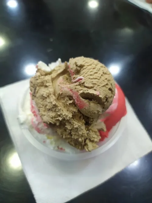 (ZANZOU GLACE GELATO ) MAISON DE FABRICATION ET VENTE EN GROS DE GLACE GELATO ITALIENNE(بيع مثلجات جيلاتو للمحلات)