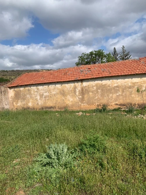Vente Terrain Agricole Tlemcen Tlemcen
