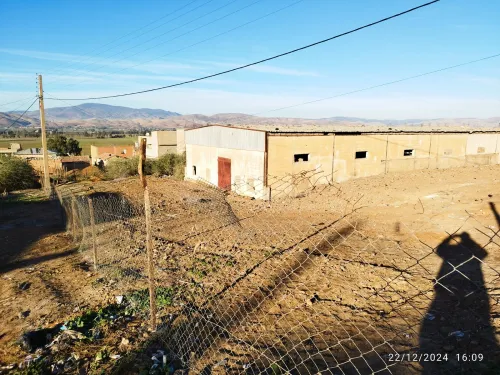 Vente Terrain Chlef Oued fodda