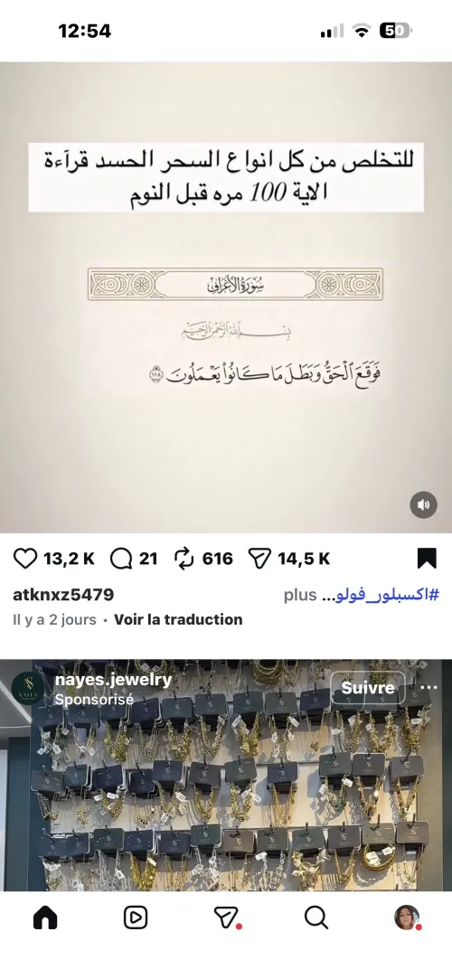 Akita américain أكيطا