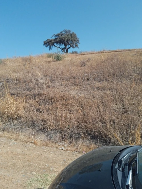 Vente Terrain Bouira Ain el turc