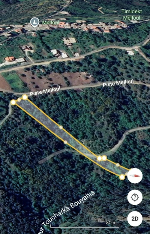 Vente Terrain Tizi Ouzou Beni douala