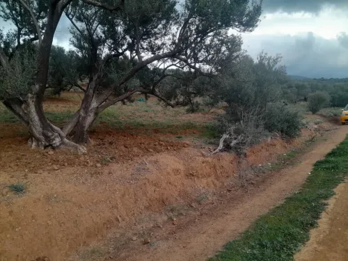 Vente Terrain Béjaïa Akbou