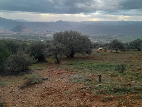 Vente Terrain Béjaïa Akbou