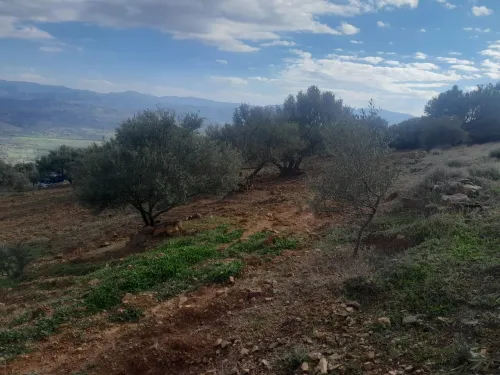 Vente Terrain Béjaïa Akbou