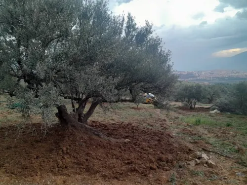 Vente Terrain Béjaïa Akbou