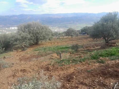 Vente Terrain Béjaïa Akbou