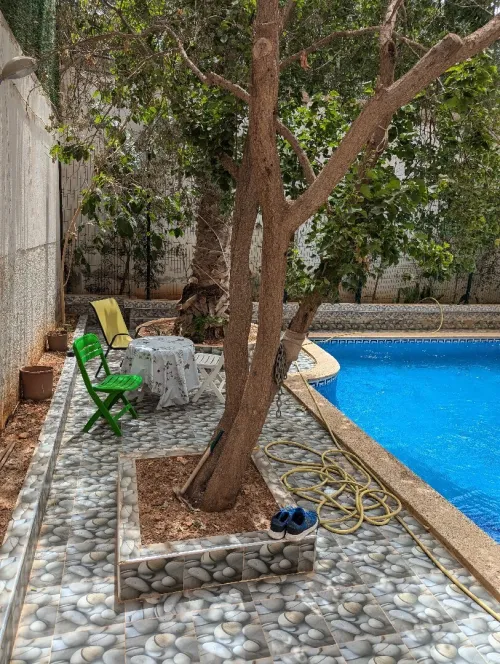 Location bien immobilier Oran Ain el turck