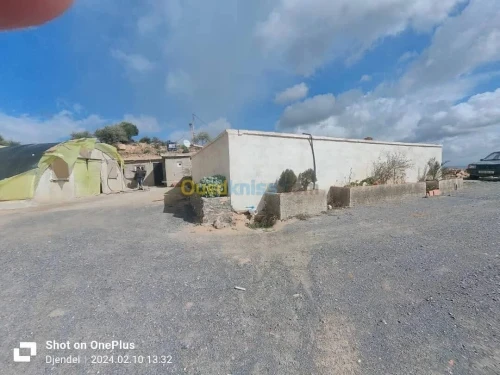 Vente Terrain Aïn Defla Djendel