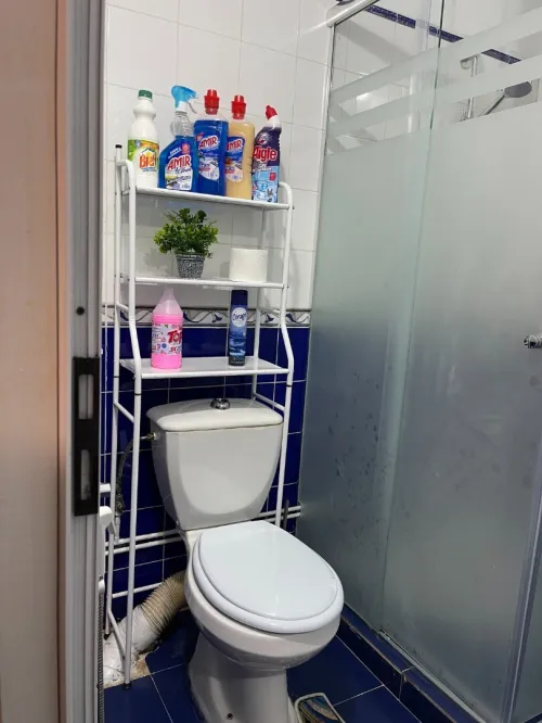 Location Appartement Studio Boumerdès Boumerdes