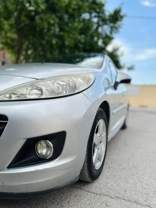 Peugeot 207 2011 Fennec