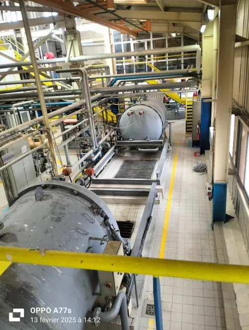 Expertise ( risque industrielle, réseaux et installation électrique)