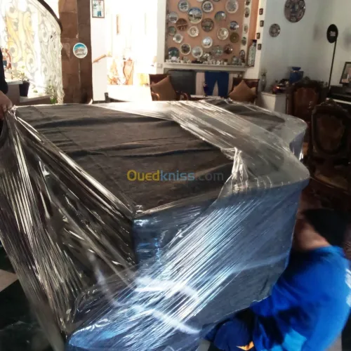 DEMENAGEMENT- TRANSPORT - MANUTENTION-