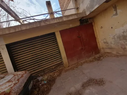 Vente Local Sidi Bel Abbès Sidi bel abbes