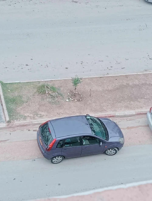 Ford Fiesta 2008 Fiesta