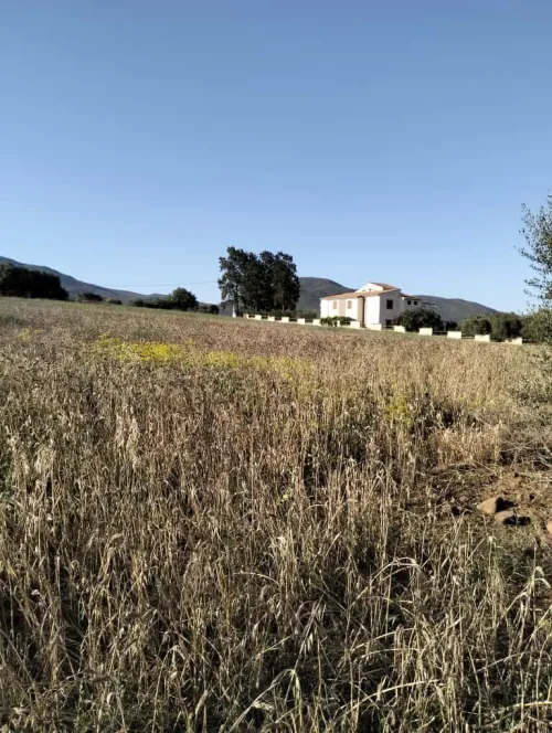 Vente Terrain Béjaïa El kseur