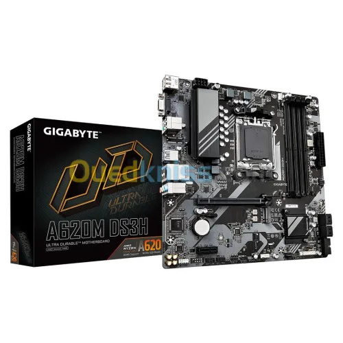 CARTE MERE GIGABYTE A620M DS3H 