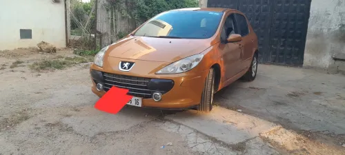 Peugeot 307 2006 Oxygo