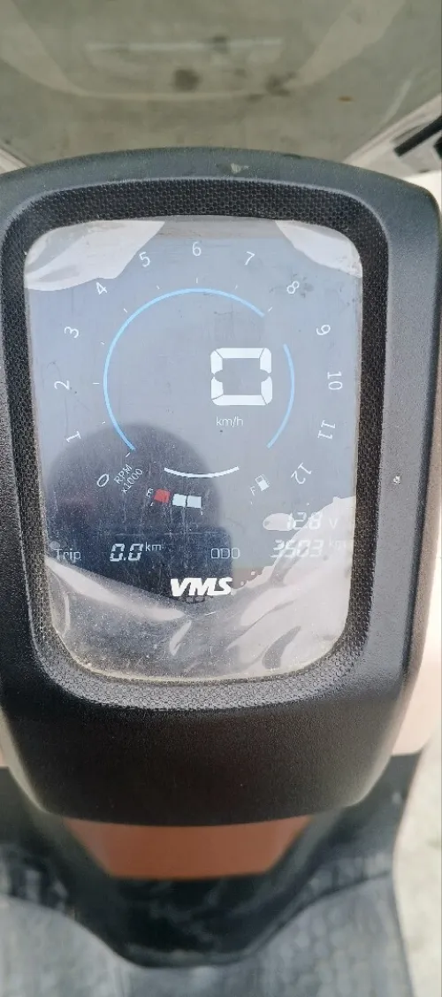 Vms GEMMA 2025