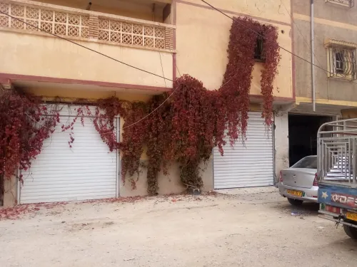 Location Hangar Djelfa Djelfa