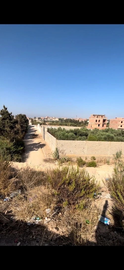 Vente Appartement Oran Bir el djir