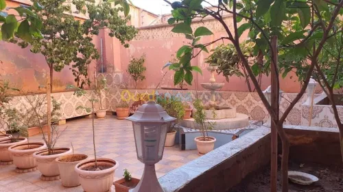 Vente Immeuble Oran Oran
